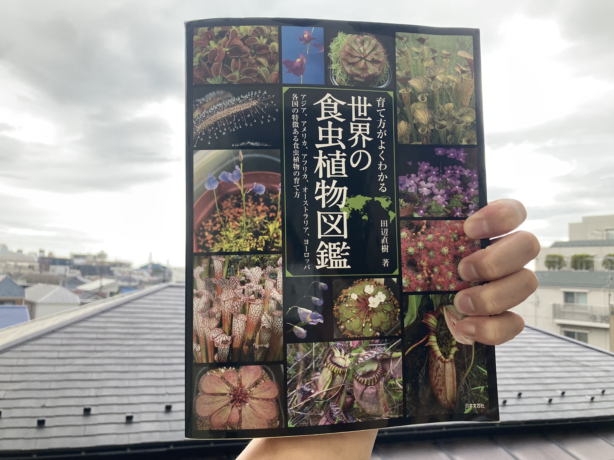 【初心者必見！】育て方がよくわかる　世界の食虫植物図鑑【書籍レビュー】